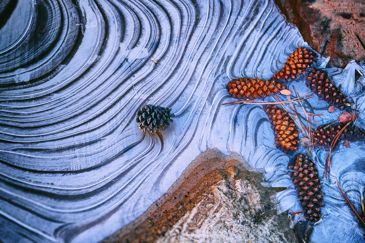 Zion National Park winter snow (Zion National Park) -- &copy; 2025 Joe Braun Photography