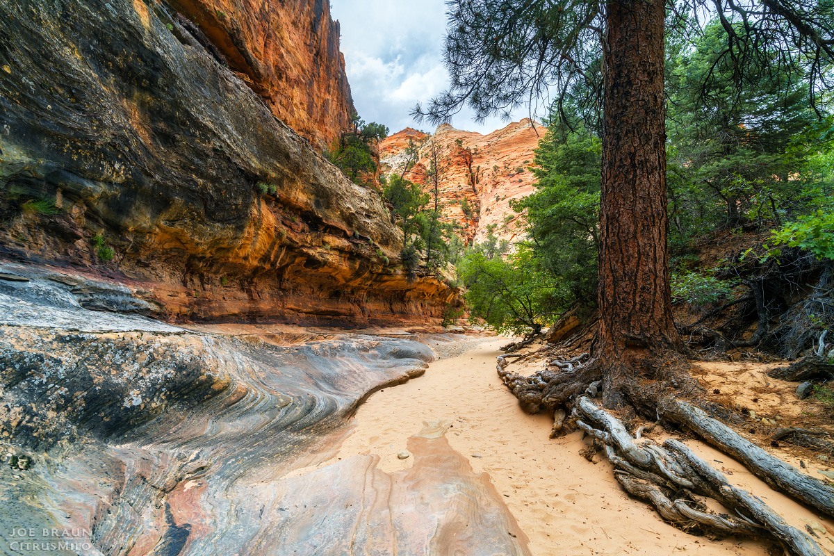 View from clear creeks 澄んだ小川の景色 Clear Creek (and Hobbit Hole) Photos - Joe's Guide to Zion
