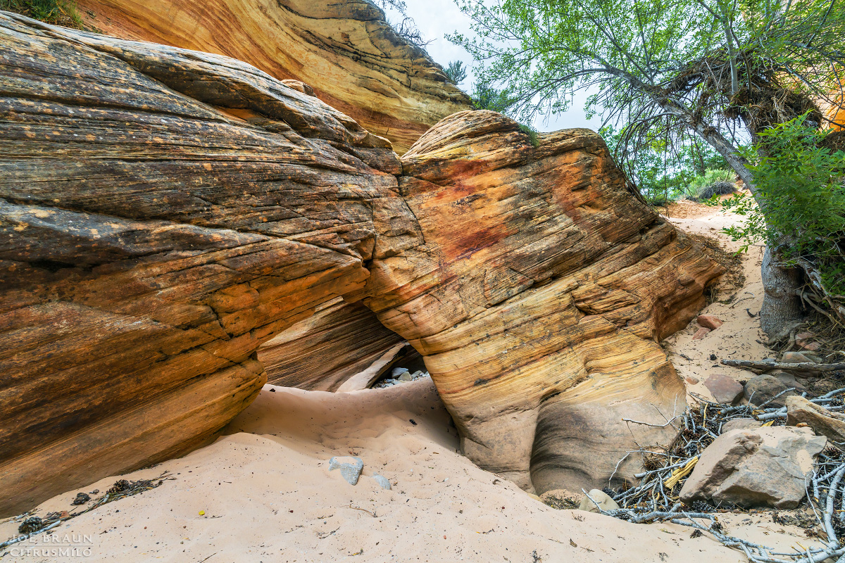Clear Creek (and Hobbit Hole) Photos - Joe's Guide to Zion