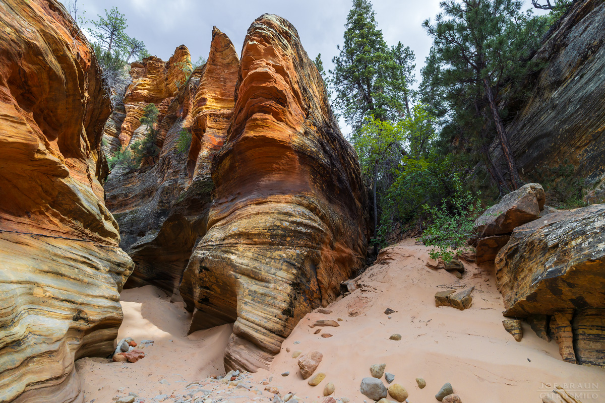 Clear Creek photo (Zion National Park) -- &copy; 2026 Joe Braun Photography