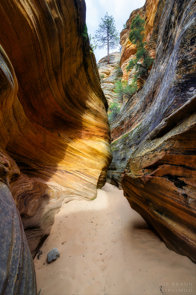 Clear Creek (and Hobbit Hole) Photos - Joe's Guide to Zion