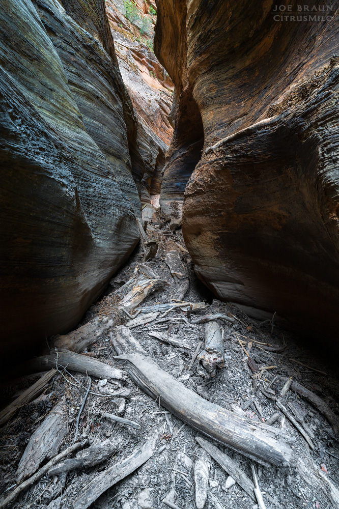 Clear Creek photo (Zion National Park) -- &copy; 2026 Joe Braun Photography