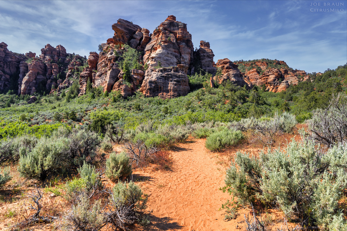 Lambs Knoll photo (Zion National Park) -- &copy; 2026 Joe Braun Photography