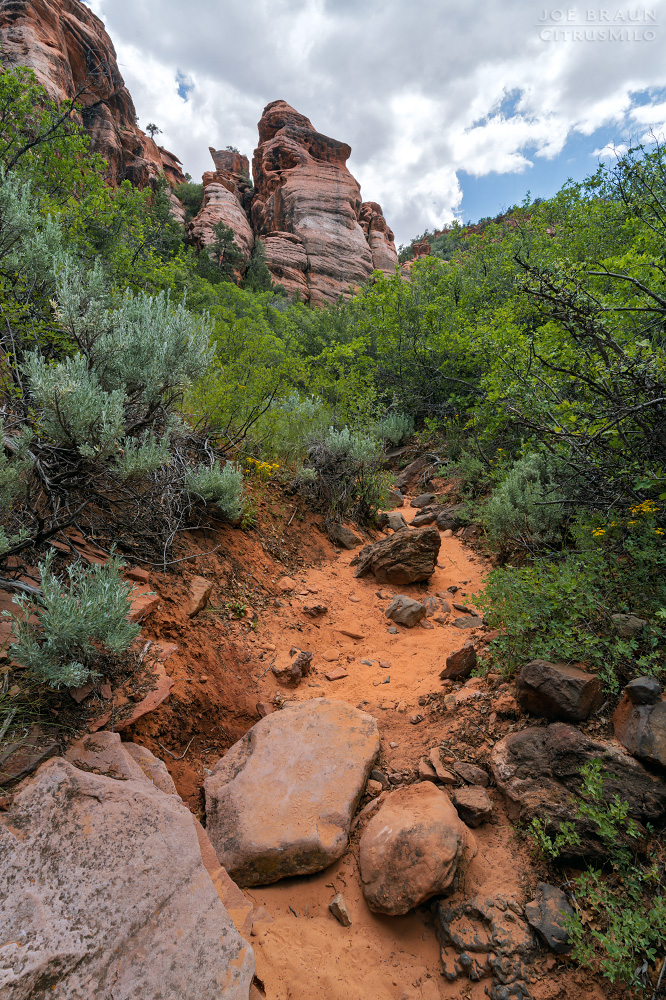 Lambs Knoll photo (Zion National Park) -- &copy; 2026 Joe Braun Photography