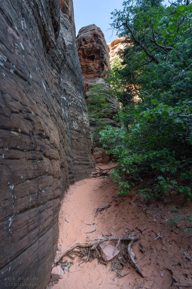 Lambs Knoll photo (Zion National Park) -- &copy; 2026 Joe Braun Photography