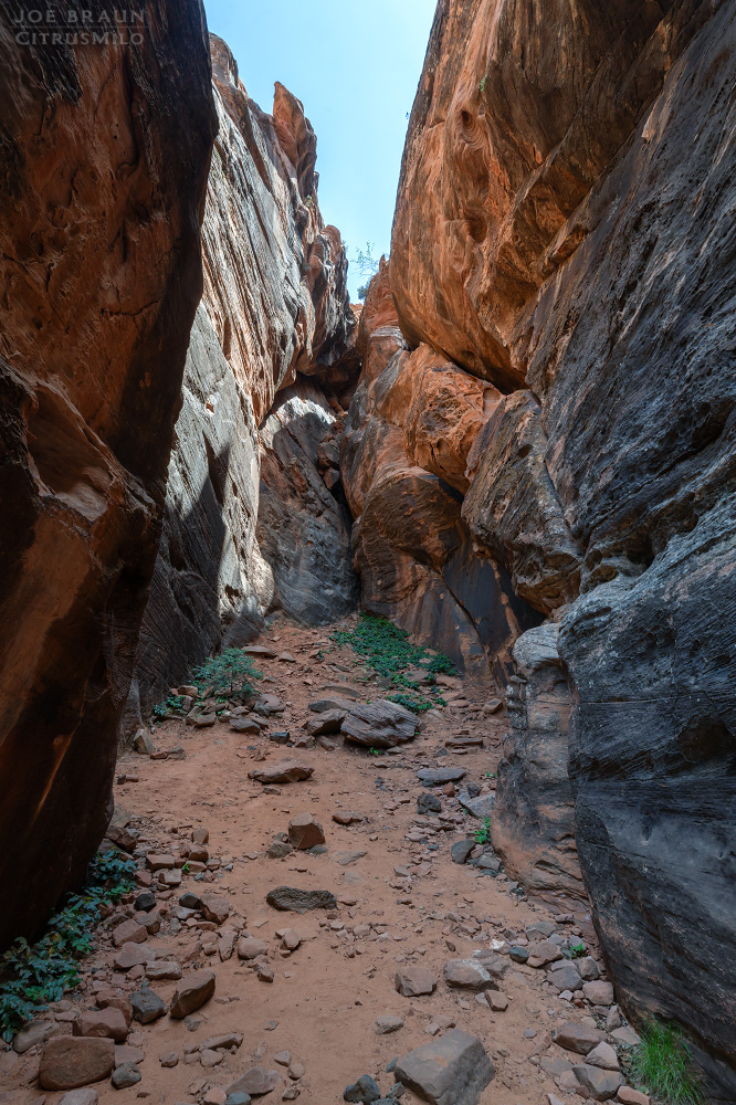 Lambs Knoll photo (Zion National Park) -- &copy; 2026 Joe Braun Photography