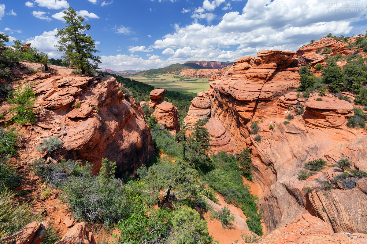 Lambs Knoll photo (Zion National Park) -- &copy; 2026 Joe Braun Photography
