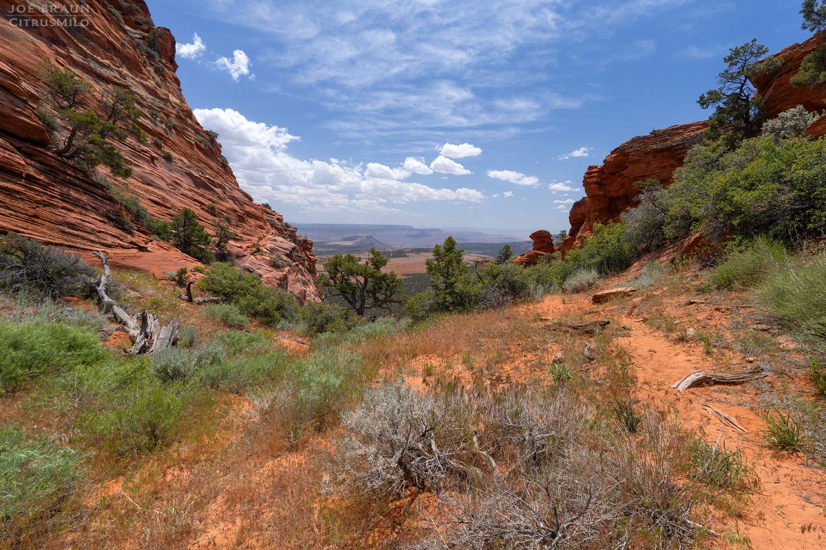 Lambs Knoll photo (Zion National Park) -- &copy; 2026 Joe Braun Photography