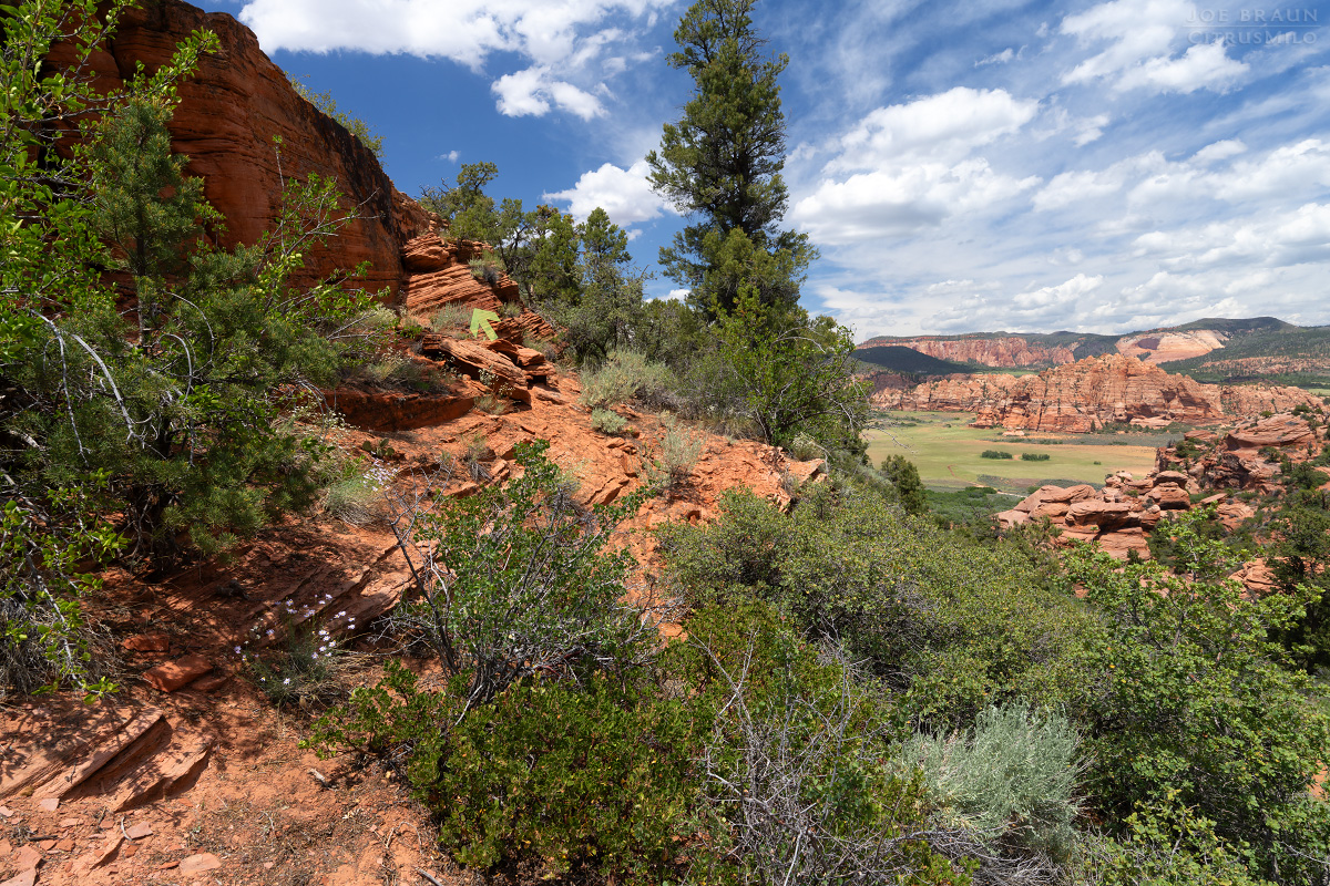 Lambs Knoll photo (Zion National Park) -- &copy; 2026 Joe Braun Photography