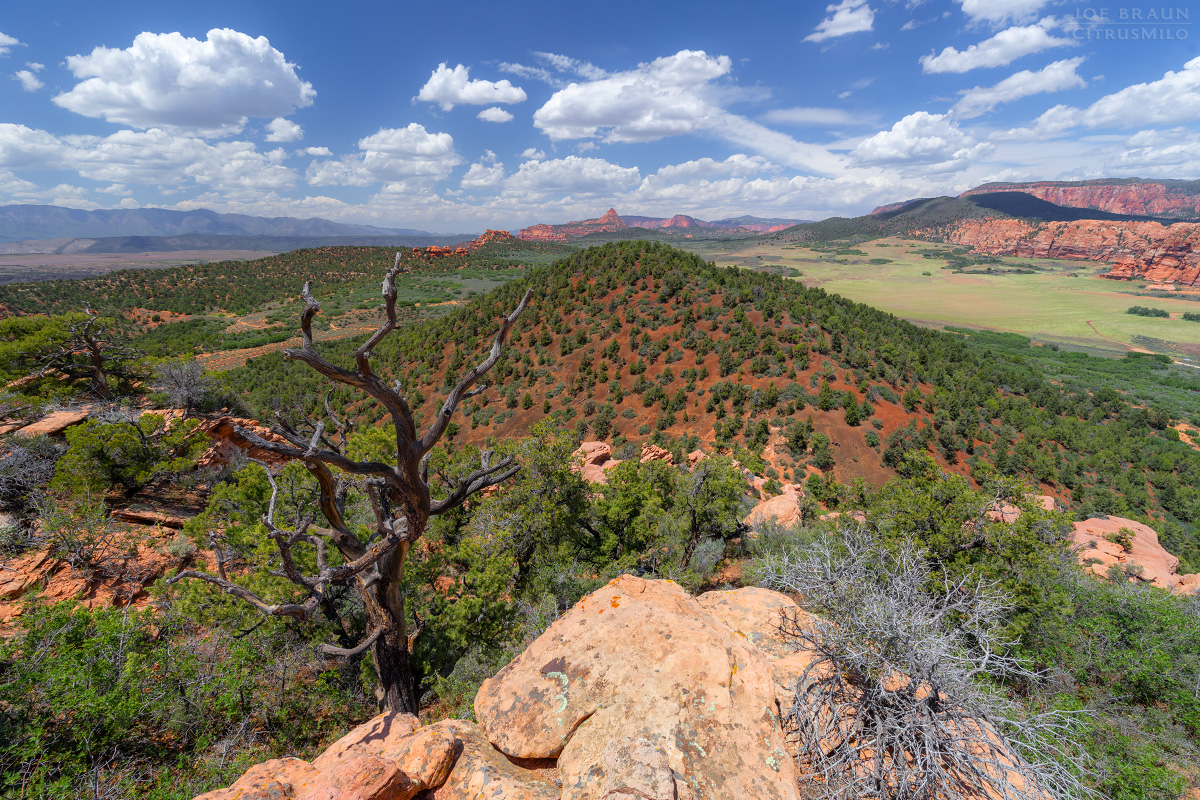 Lambs Knoll photo (Zion National Park) -- &copy; 2026 Joe Braun Photography