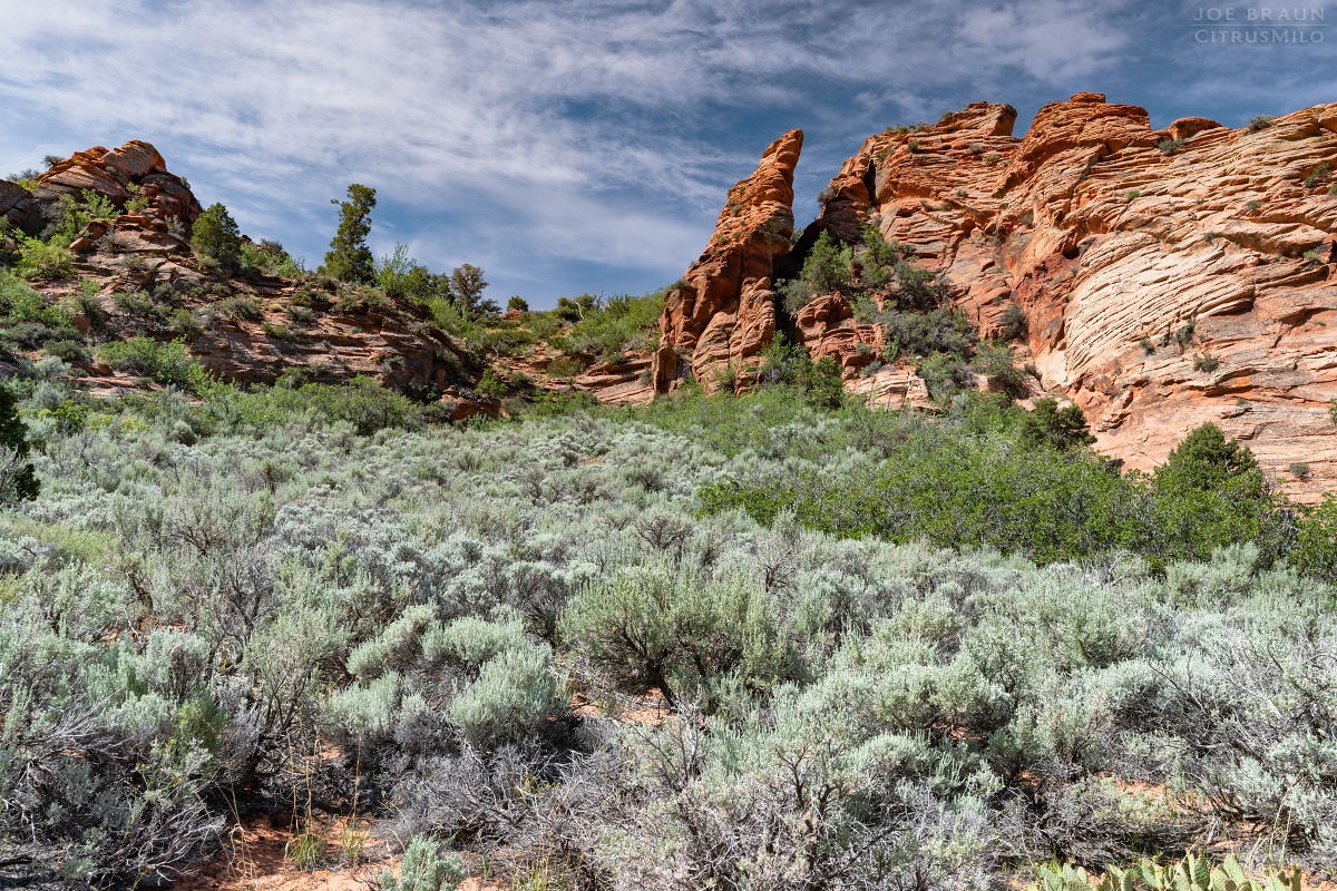 Lambs Knoll photo (Zion National Park) -- &copy; 2026 Joe Braun Photography