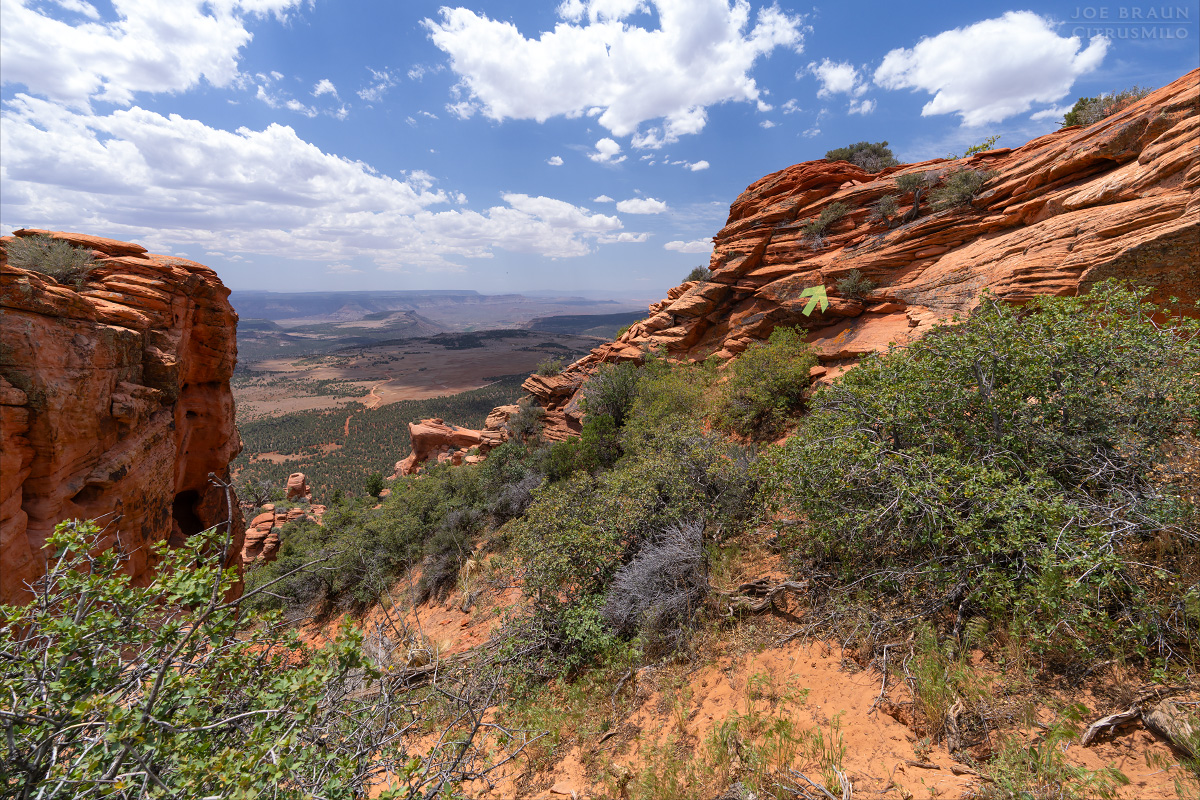 Lambs Knoll photo (Zion National Park) -- &copy; 2026 Joe Braun Photography