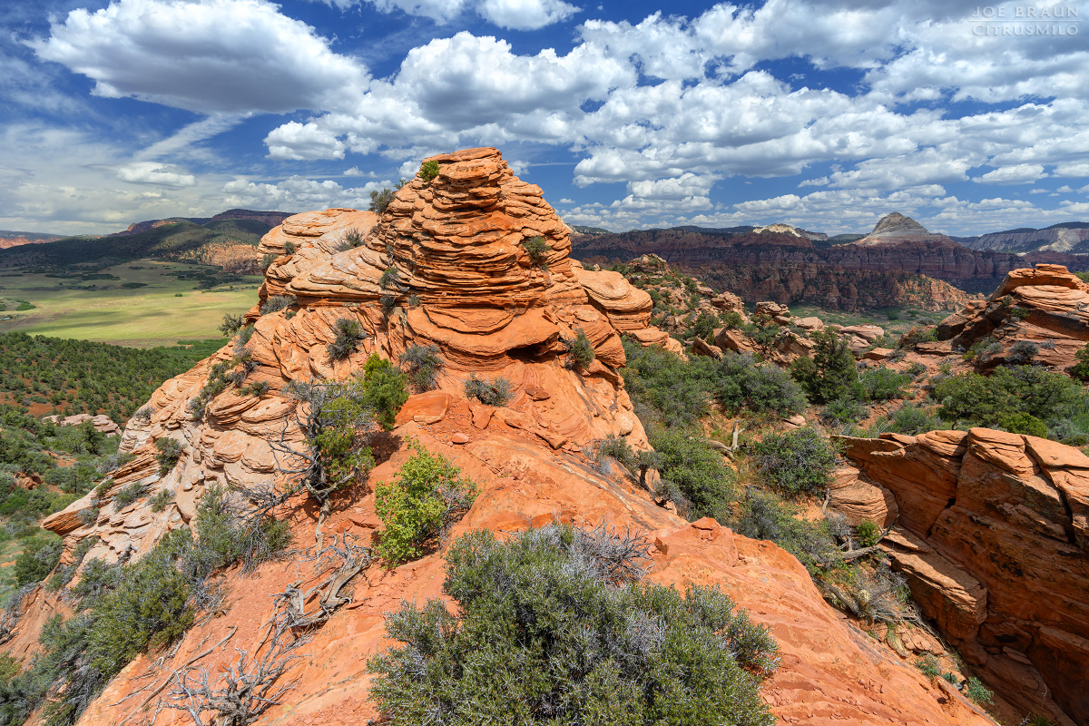 Lambs Knoll photo (Zion National Park) -- &copy; 2026 Joe Braun Photography