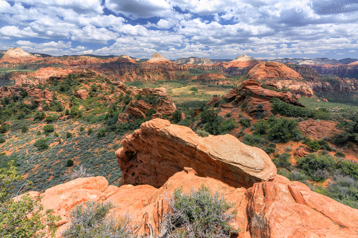 Lambs Knoll photo (Zion National Park) -- &copy; 2026 Joe Braun Photography