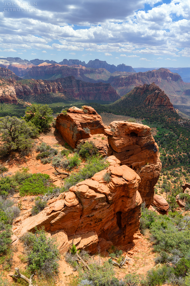 Lambs Knoll photo (Zion National Park) -- &copy; 2026 Joe Braun Photography