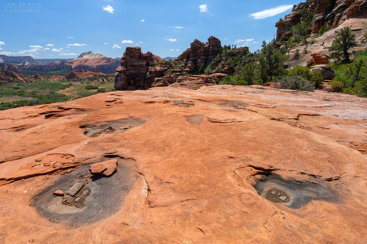 Lambs Knoll photo (Zion National Park) -- &copy; 2026 Joe Braun Photography