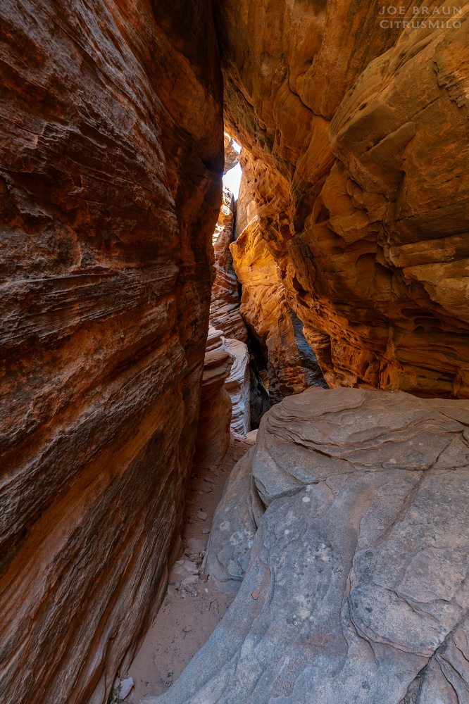 Lambs Knoll photo (Zion National Park) -- &copy; 2026 Joe Braun Photography