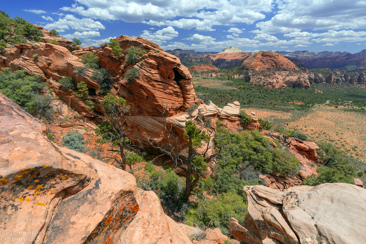 Lambs Knoll photo (Zion National Park) -- &copy; 2026 Joe Braun Photography