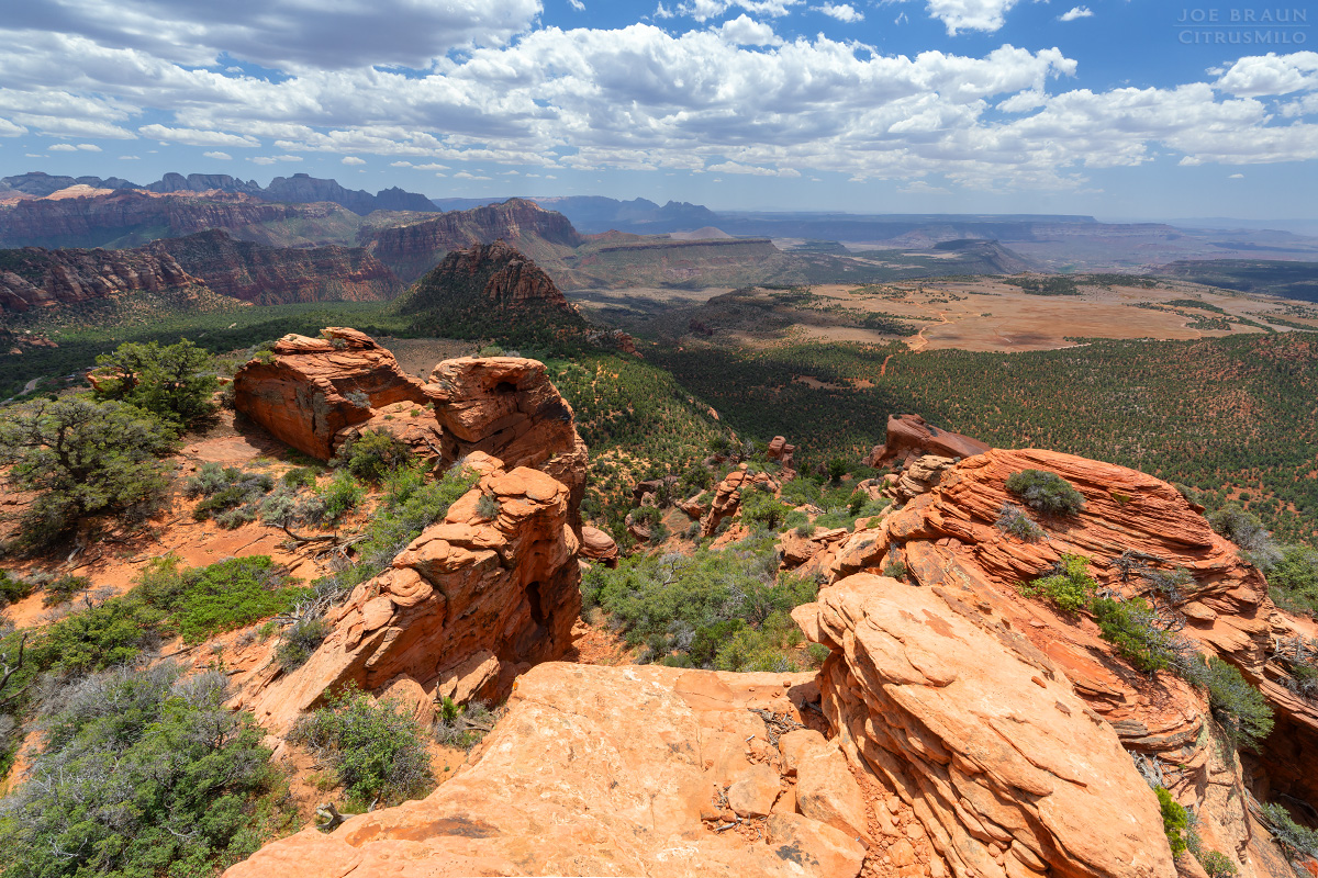 Lambs Knoll photo (Zion National Park) -- &copy; 2026 Joe Braun Photography