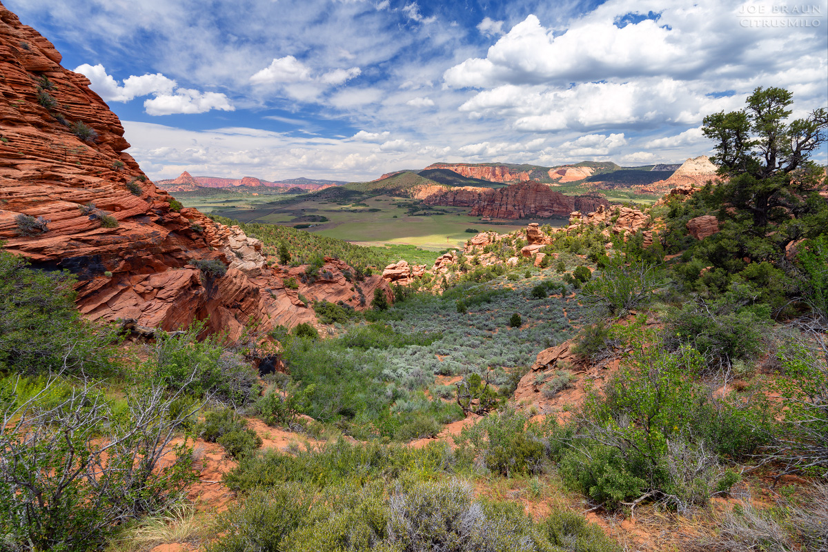 Lambs Knoll photo (Zion National Park) -- &copy; 2026 Joe Braun Photography