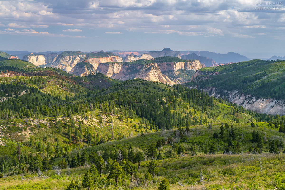 Lava Point photo (Zion National Park) -- &copy; 2026 Joe Braun Photography
