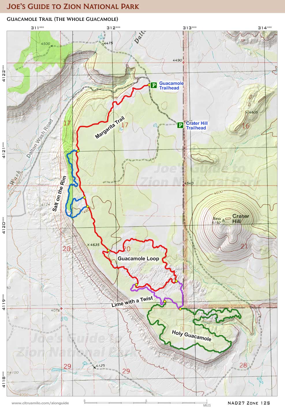 Printable topographic map with UTM grid for the Guacamole Trail located near Crater Hill (Zion National Park)