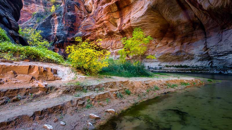 The Barracks (Upper Parunuweap Canyon) (Zion National Park)