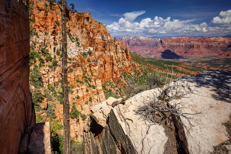 Canaan Mountain Traverse (Zion National Park)