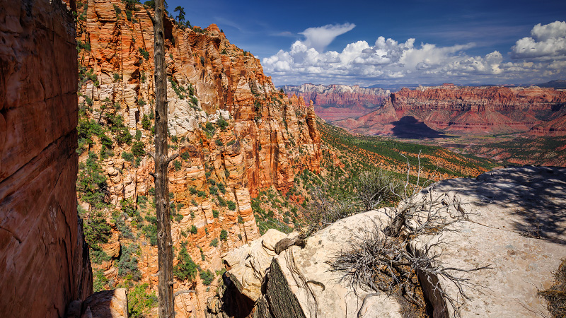 Canaan Mountain Traverse (Zion National Park)