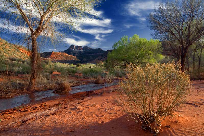 Coalpits Wash (Zion National Park)