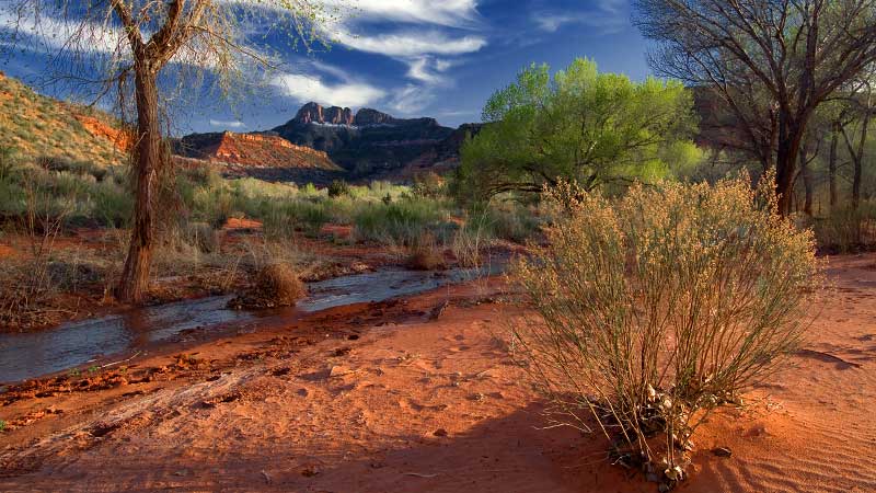 Coalpits Wash (Zion National Park)