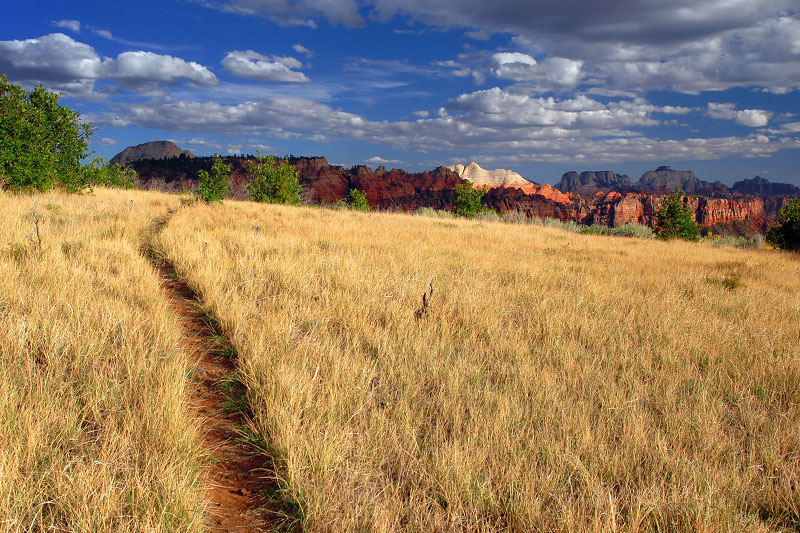 Connector Trail (Zion National Park)