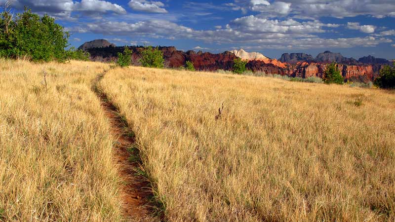 Connector Trail (Zion National Park)