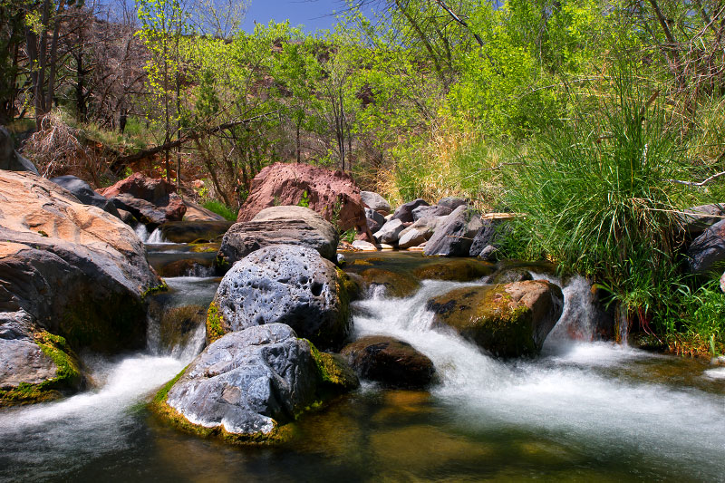 Grapevine Spring (Zion National Park)
