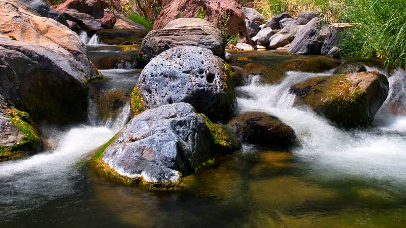 Grapevine Spring (Zion National Park)