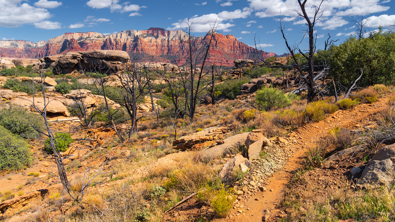 Guacamole Trail (The Whole Guacamole) (Zion National Park)