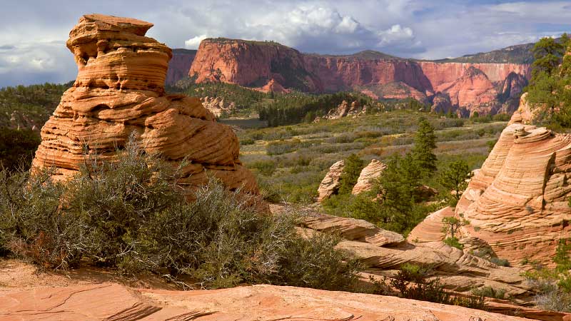 Hoodoo City (Zion National Park)