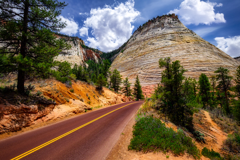 joyride through the Upper East Canyon past Checkerboard Mesa (Zion National Park)