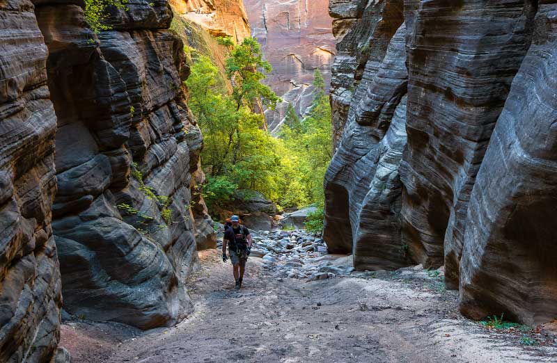 Lower Kolob Creek (Zion National Park)