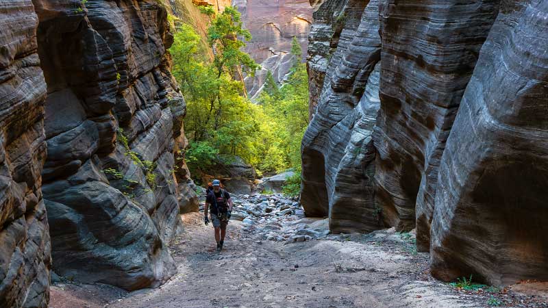 Lower Kolob Creek (Zion National Park)