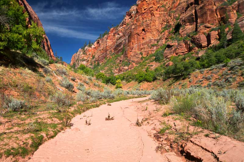 Langston Canyon (Zion National Park)