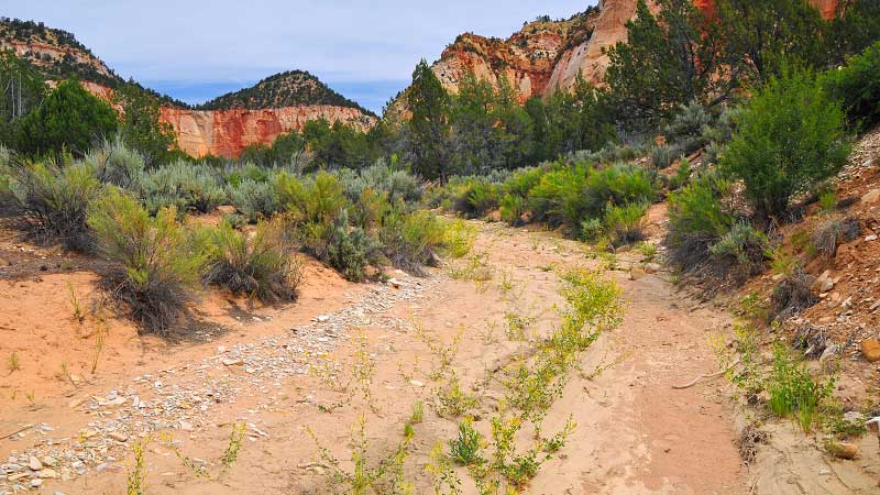 Meadow Creek and Mineral Gulch (Zion National Park)