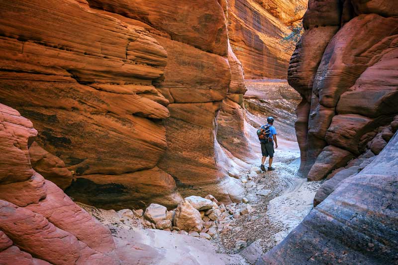 Misery Canyon East Fork (Zion National Park)