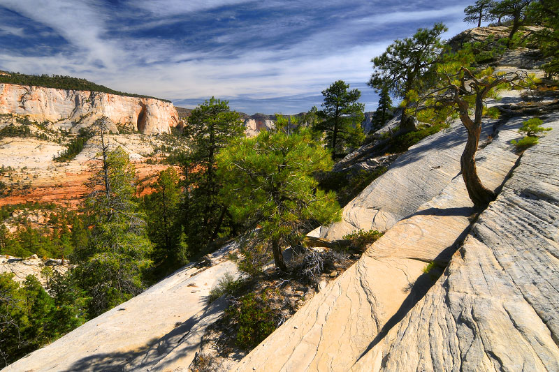 Northgate Peaks scramble (Zion National Park)