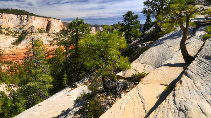 Northgate Peaks scramble (Zion National Park)