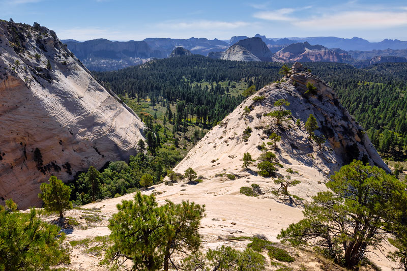Pocket Mesa scramble (Zion National Park)