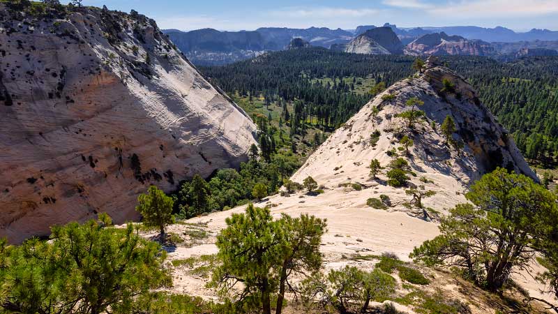 Pocket Mesa scramble (Zion National Park)