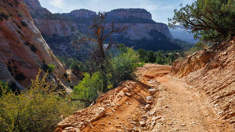 Poverty Trail (Zion National Park)