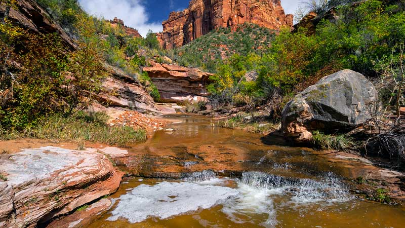 Right Fork of North Creek (Zion National Park)