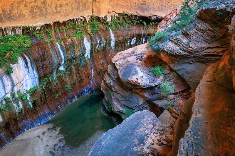 Right Fork of North Creek (Zion National Park)